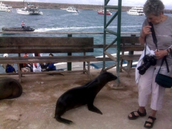 img00165web