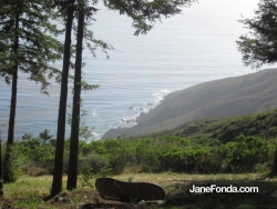 Holiday in Big Sur
