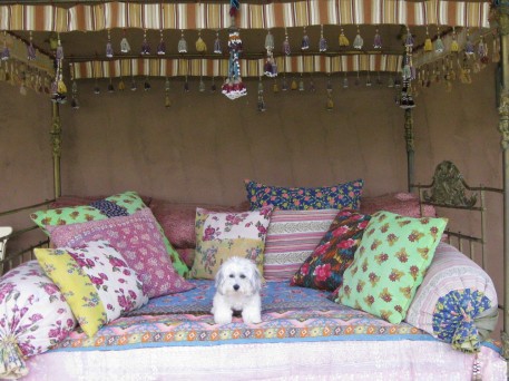 Shucks. I erased the photo of my ranch bed so I’m sending this one, a bed that is outside on the portale. My favorite napping place (and sometimes overnight place) cause I can hear the river close by and see the stars.