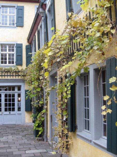 Another view of the house 