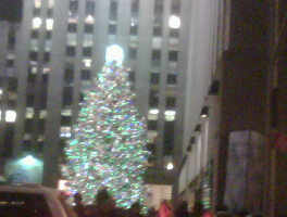 IMG00035-20091208-1352