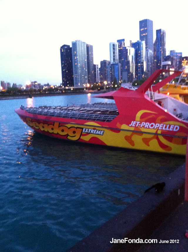 JFChicagoSeaDog-web