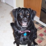 Profile picture of Terry