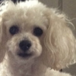 Profile picture of Anna