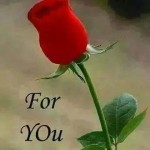 Profile picture of rajesh rajesh