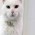 Profile picture of Renec