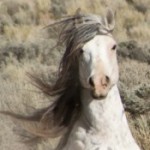 Profile picture of Judy Barnes
