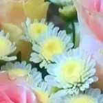 Profile picture of Cary Jones