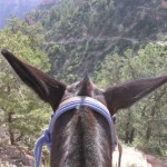 Profile picture of Nancy Robinson