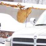 Profile picture of joe michael