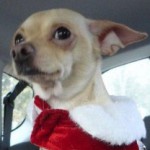 Profile picture of Donna Parish