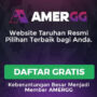 Profile picture of amergg