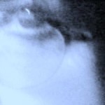 Profile picture of Charlene Kane